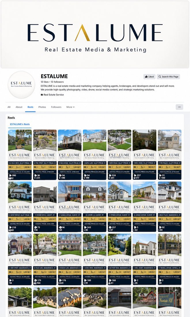The ESTALUME web platform